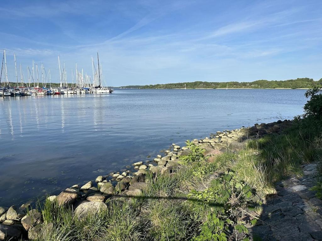 Urlaub In Einer Historischen Wassermuehle An Der Trave Lübeck Buitenkant foto